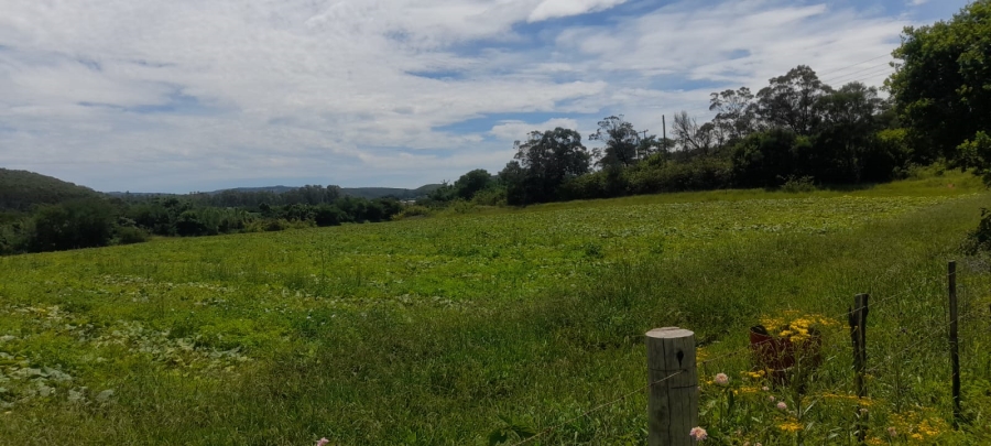 Commercial Property for Sale in Komga Rural Eastern Cape